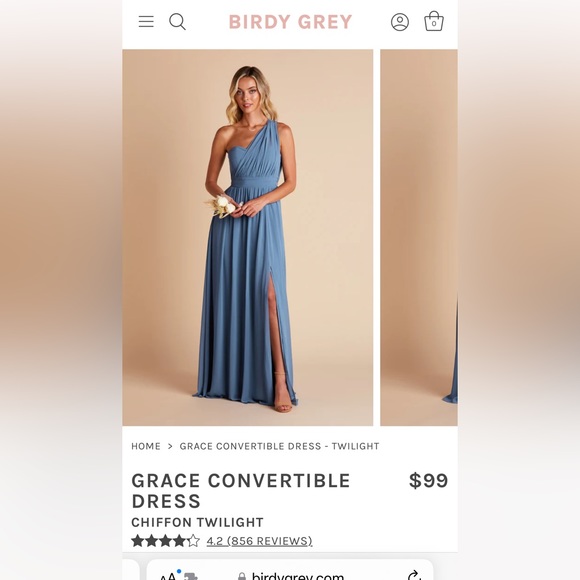 NEW Birdy Grey GRACE CONVERTIBLE DRESS CHIFFON TWILIGHT Size Small - Picture 2 of 7